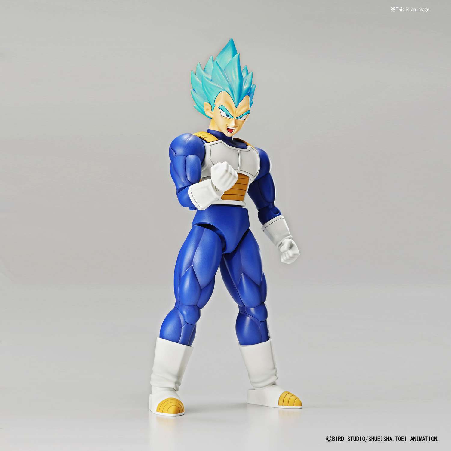 vegeta model