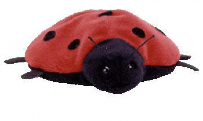 beanie baby ladybug