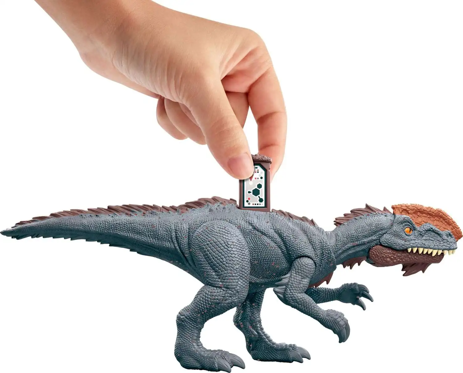 Aazon.co: Attel Jurassic World: Chaos Theory Storypack, Huan