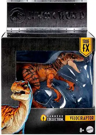 Jurassic World Hammond Collection Velociraptor Action Figure