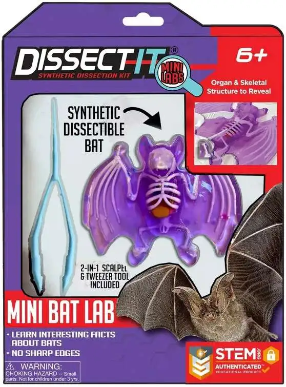 Dissect-It Bat Lab Playset