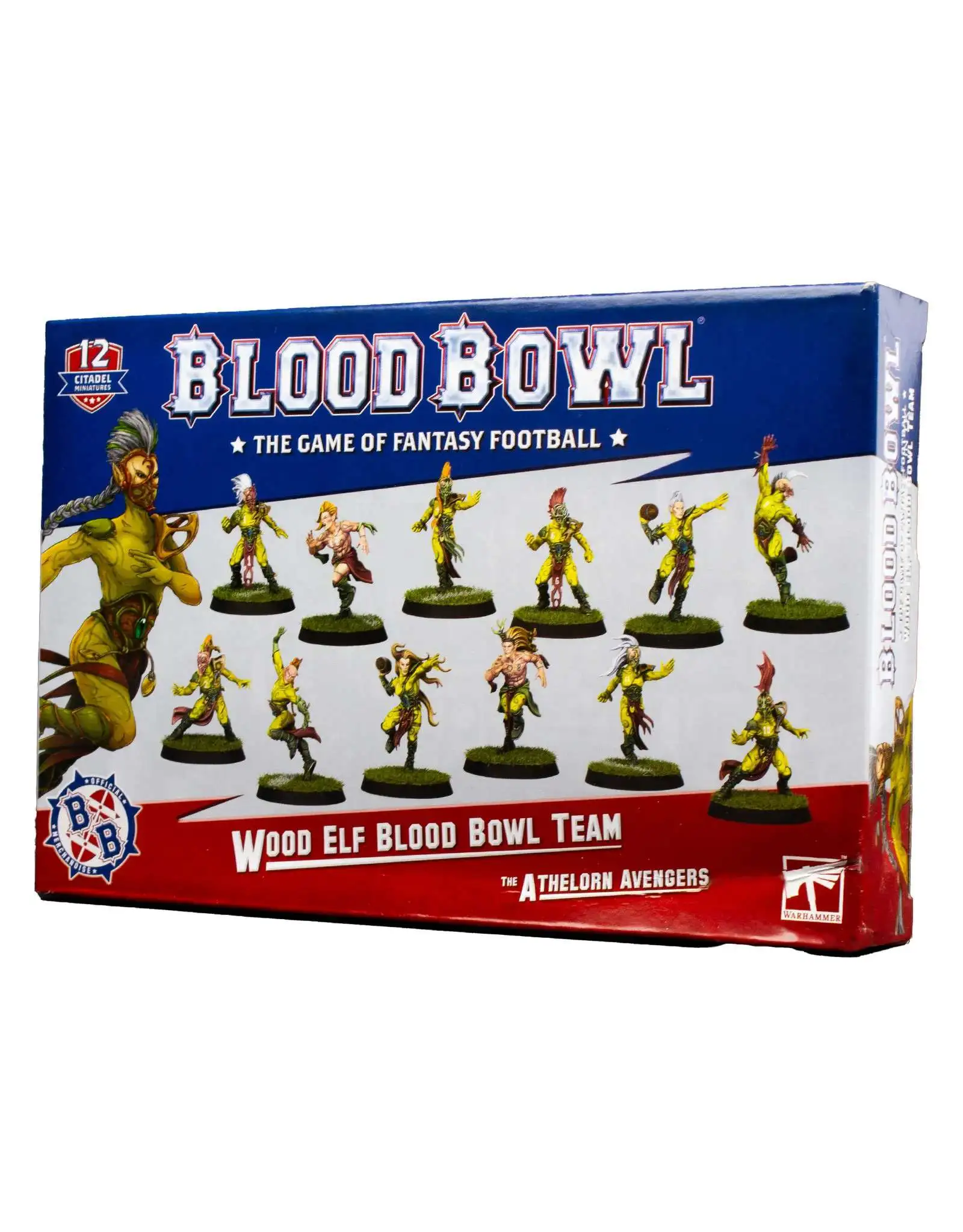 Blood Bowl Wood Elf Team [The Athelorn Avengers]