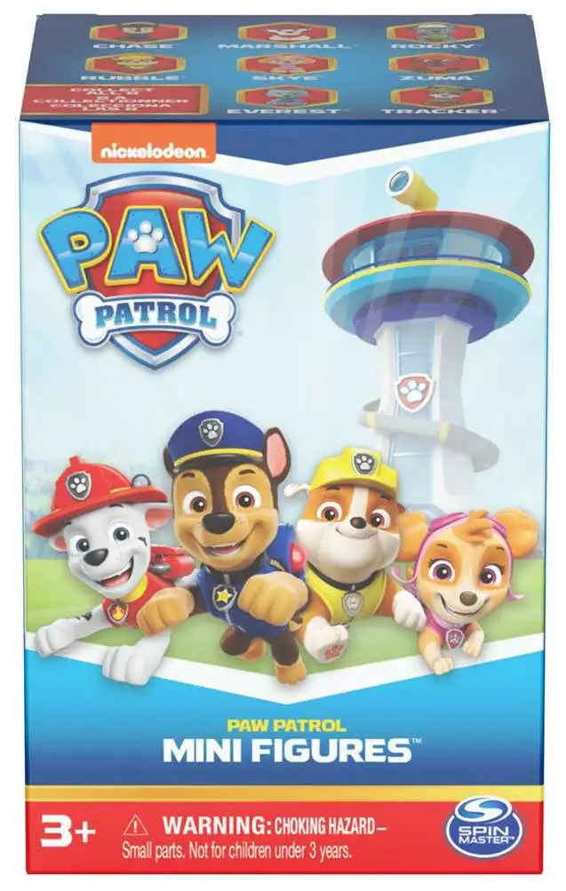 Paw Patrol Series Mini Figures Mystery Pack Spin Master - ToyWiz