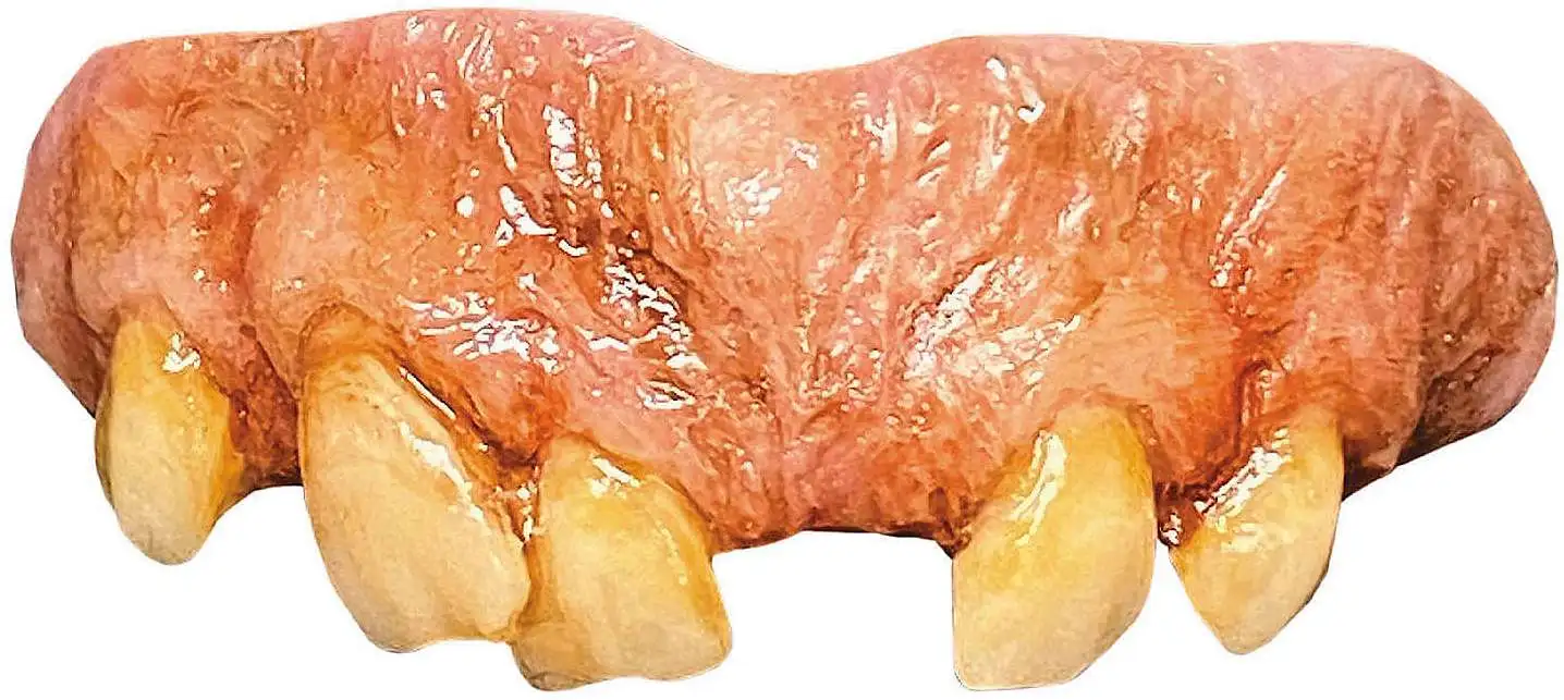 Texas Chainsaw Massacre 2 Bitemares Horror Teeth Leatherface Teeth Costume Prop Accessory