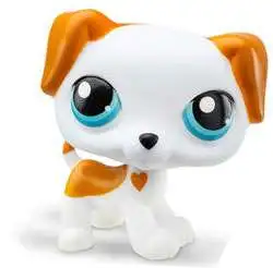 Littlest pet shop jack hot sale russell