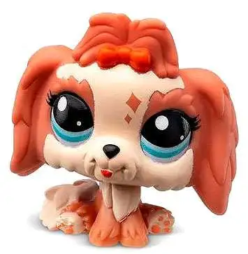 Littlest Pet Shop 2024 Brown Lhasa Apso Dog Mini Figure 38 Loose