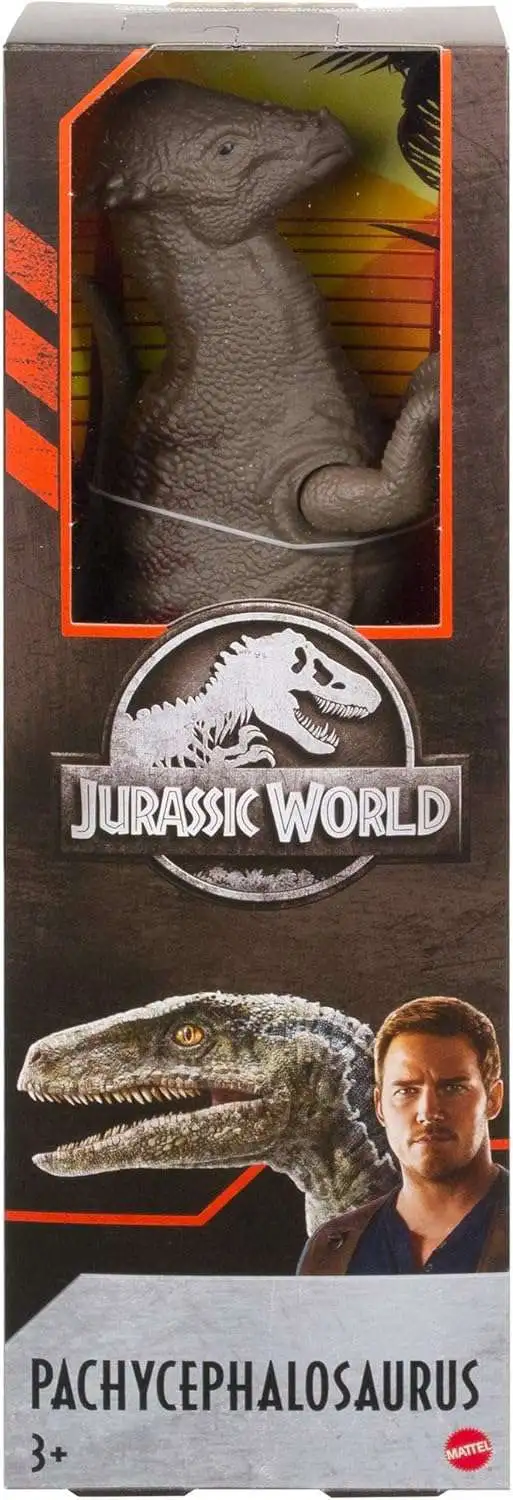 Jurassic World Pachycephalosaurus 12 Action Figure Mattel ToyWiz