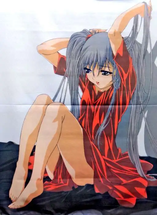 Anime Girl Wall Scroll