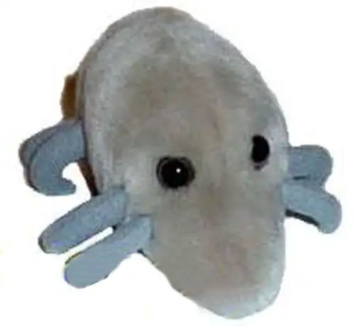 Giant Microbes Critters Dust Mite Plush Doll [Dermtaphagoides pteronyssnus]