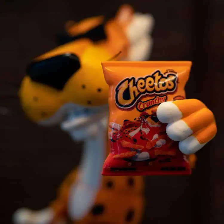 Cheetos Chester Cheetah Silhouette Orange Stainless Steel Water Bottle