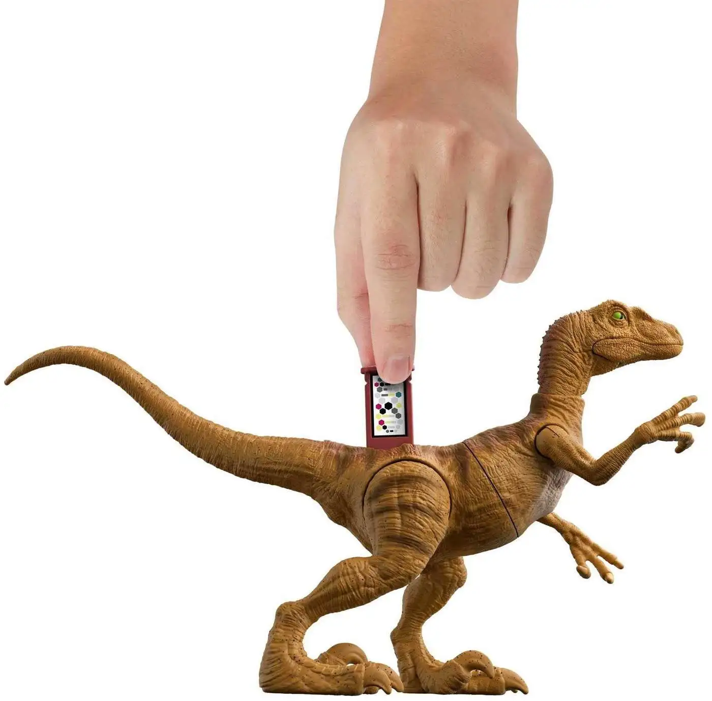 Jurassic World Legacy Collection Velociraptor Action Figure Orange