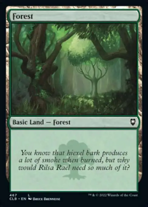 MtG Trading Card Game Commander Legends: Dungeons & Dragons Battle Common Foil Forest #467