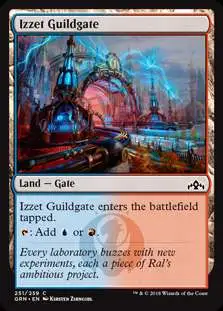 MtG Trading Card Game Guilds of Ravnica Common Izzet Guildgate (a) #251