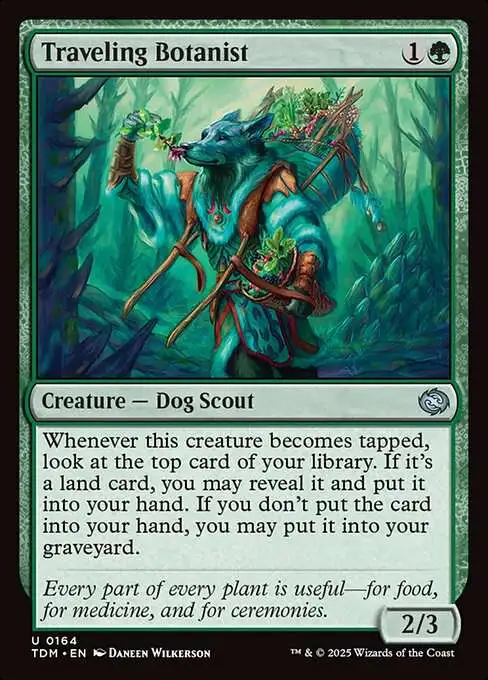 Magic The Gathering Tarkir Dragonstorm Single Card Uncommon Traveling  Botanist 164 - ToyWiz