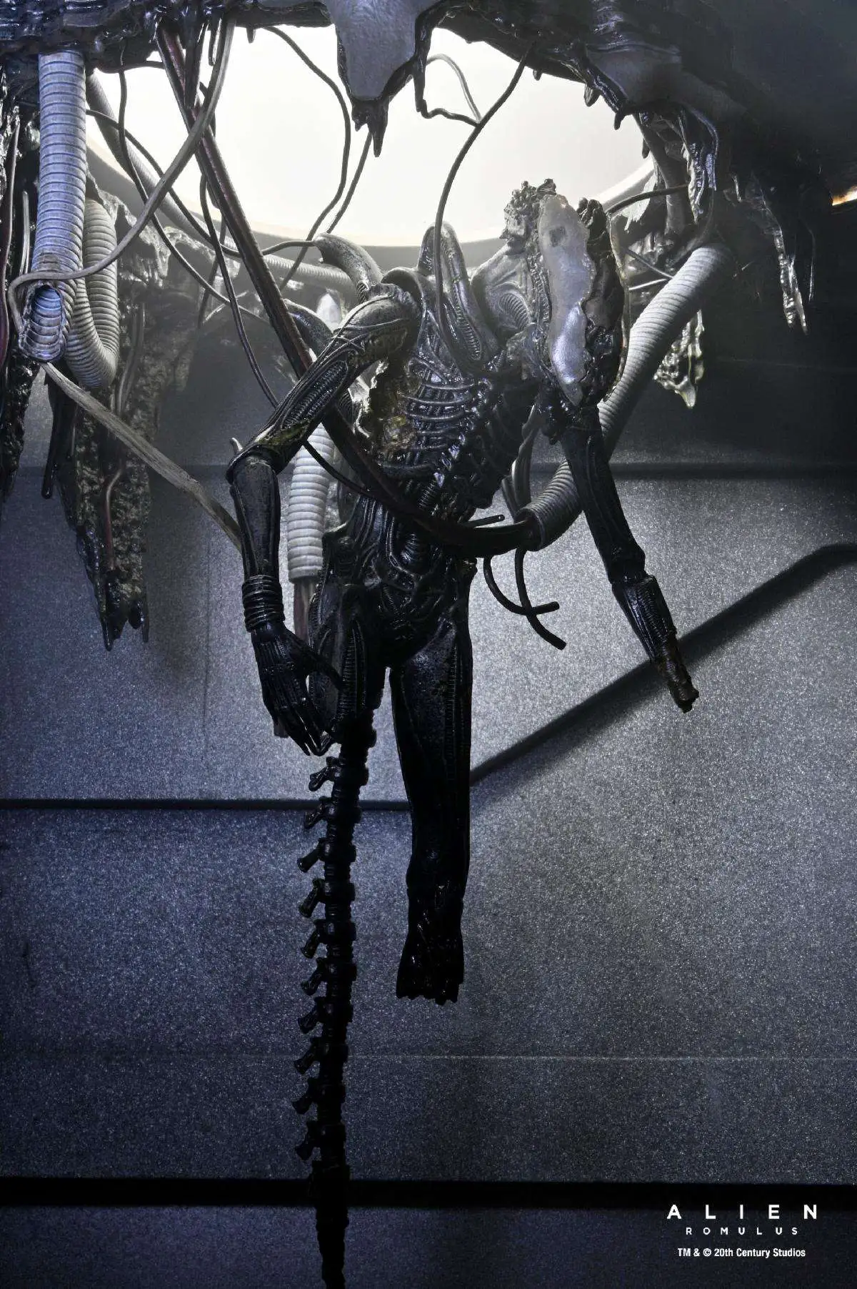 NECA Alien Romulus Suspended Lab Xenomorph XX121 7 Deluxe Action