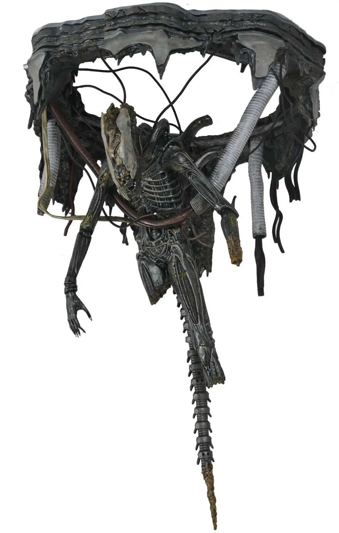 NECA Alien Romulus Suspended Lab Xenomorph XX121 7 Deluxe