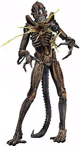 NECA Aliens Series 12 Battle-Damaged Alien Xenomorph Action Figure [Brown]