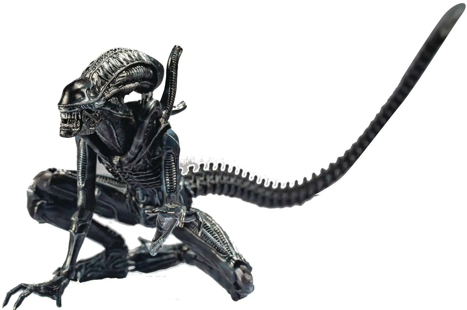 8" Scale Neca  Mcfarlane Action Figures AvP Alien New Trophy Human Skull For 7" 