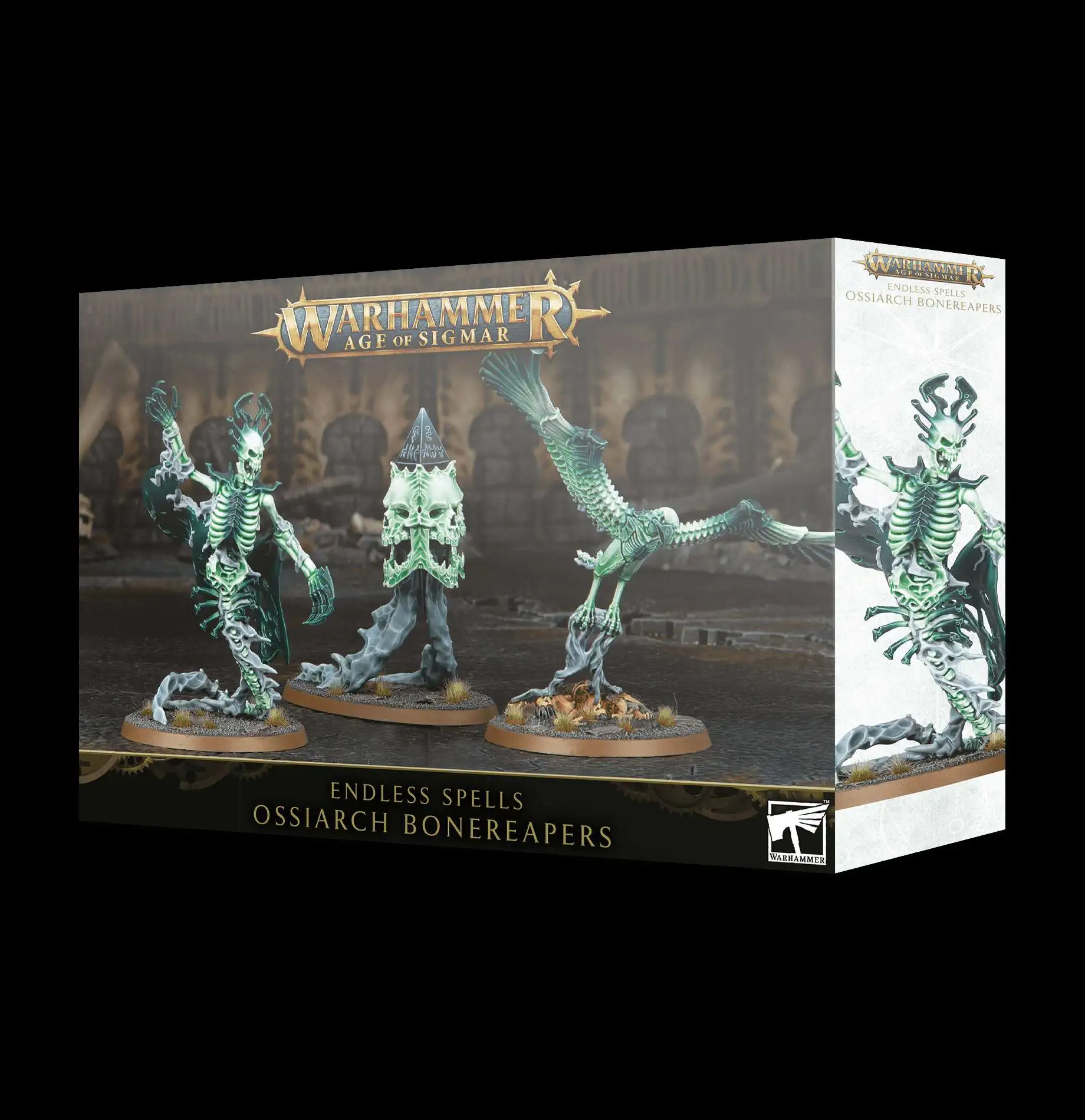 Warhammer Age of Sigmar Ossiarch Bonereapers Endless Spells [Black Box]