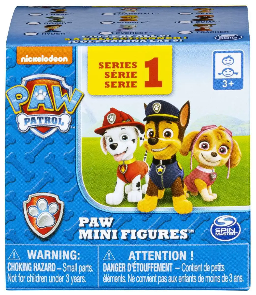 Paw Patrol Paw Mini 1 Mystery Pack 1 RANDOM Figure Spin Master -