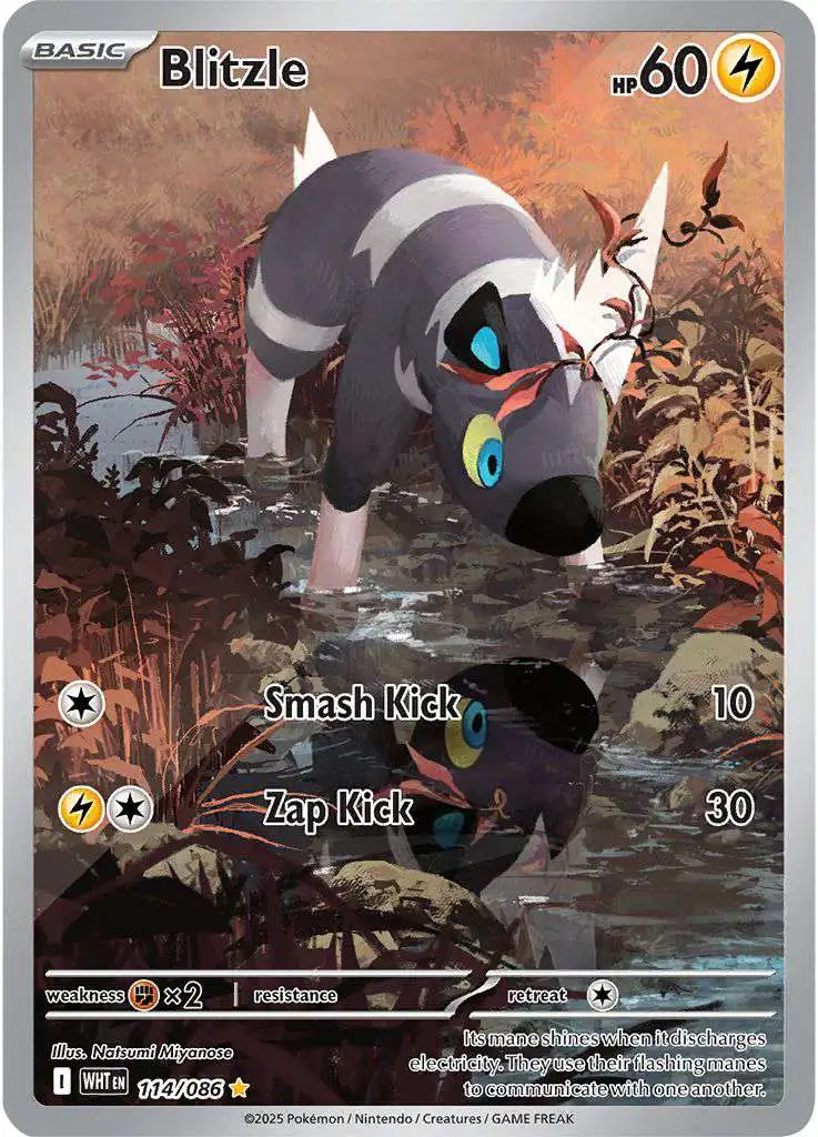 Pokemon Trading Card Game White Flare Illustration Rare Blitzle #114