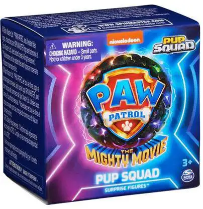 Paw Patrol The Mighty Movie Pup Squad Mystery Pack [1 RANDOM Surprise Figure]
