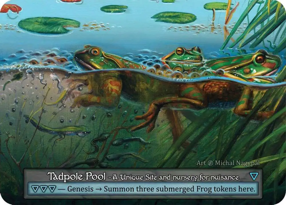 Sorcery: Contested Realm Trading Card Game Beta Unique Tadpole Pool