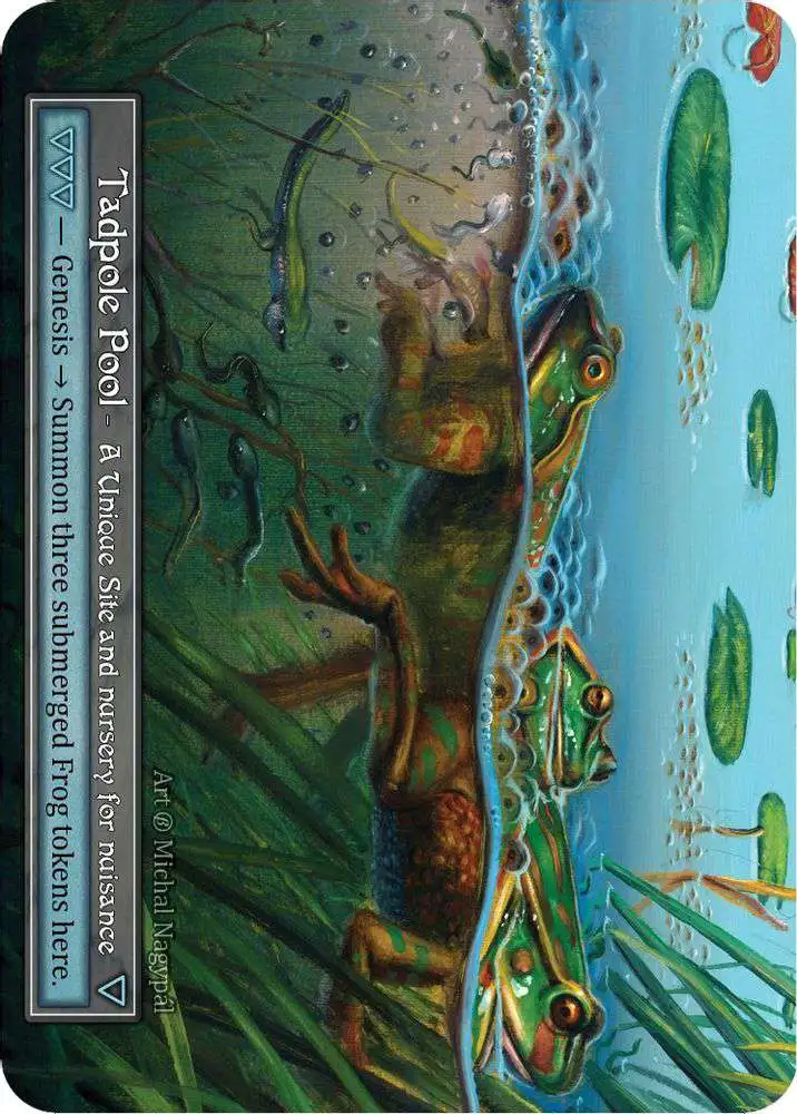 Sorcery: Contested Realm Trading Card Game Beta Unique Foil Tadpole Pool