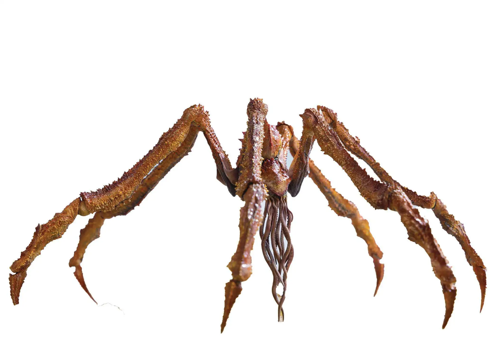 Godzilla x Kong The New Empire EXQ Exquisite Basic Series Scylla Action Figure (Pre-Order ships March 2026)