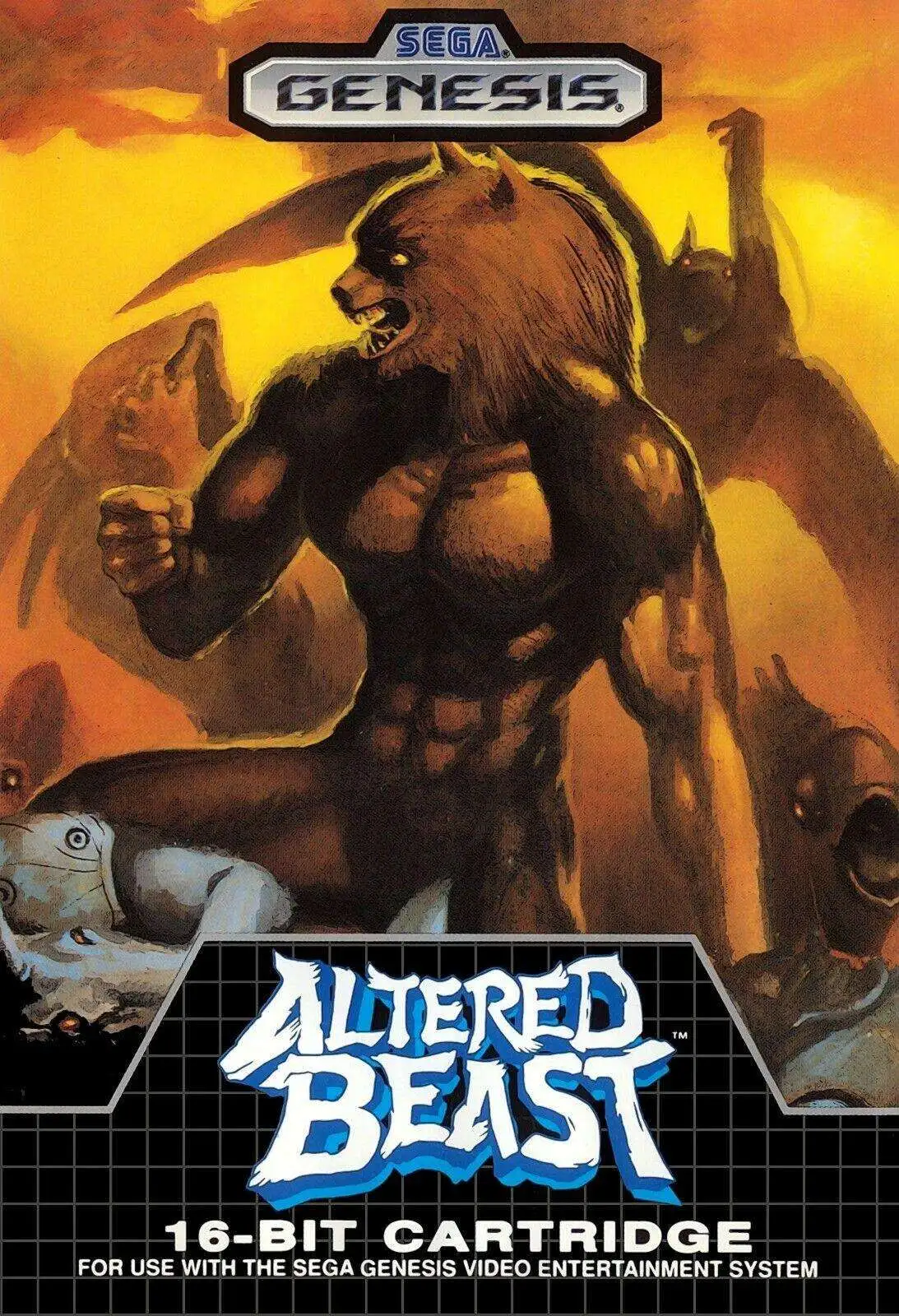 Sega Genesis Altered Beast Video Game [Box Only]