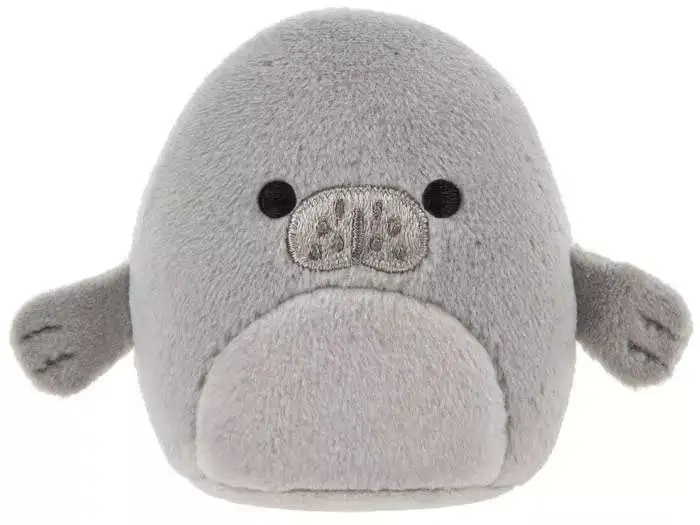 Manatee squishmallow online