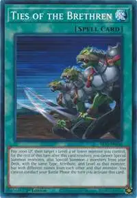 YuGiOh Mechanized Madness Structure Deck Common Ties of the Brethren SR10-EN030