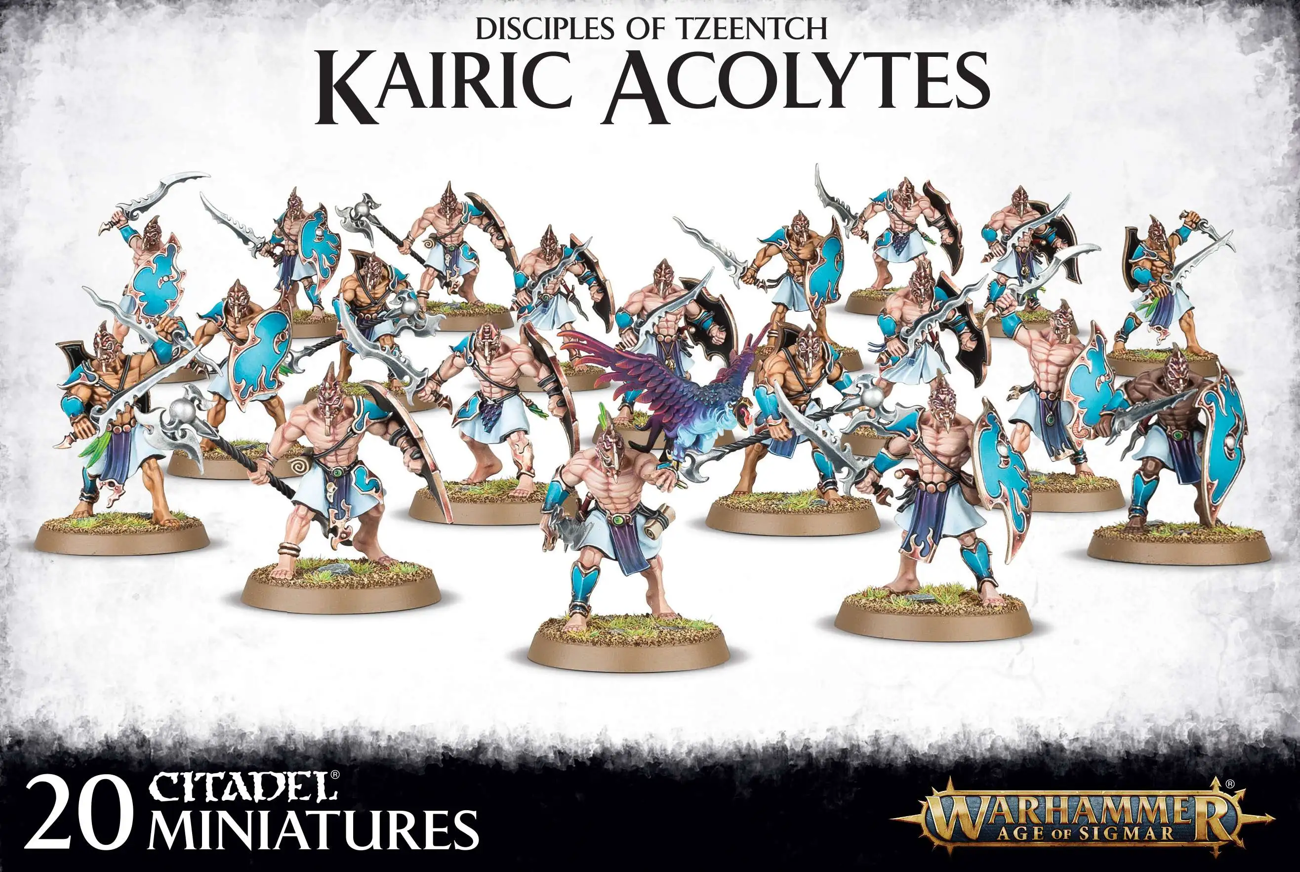 warhammer Disciples of Tzeentch ジャンクセット Amazon.com: Games Workshop - Warhammer - Age of Sigmar