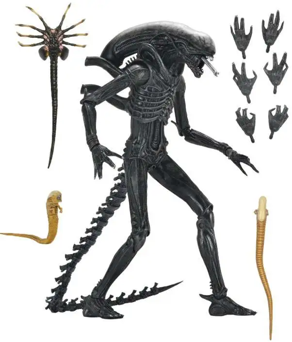 NECA エイリアンロムルスXX121 訳あり品 NECA Alien Romulus Xenomorph XX121 7 Action Figure Ultimate