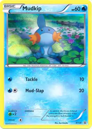 Pokemon X & Y Promo Holo Rare Mudkip XY38 [Lightly Played]