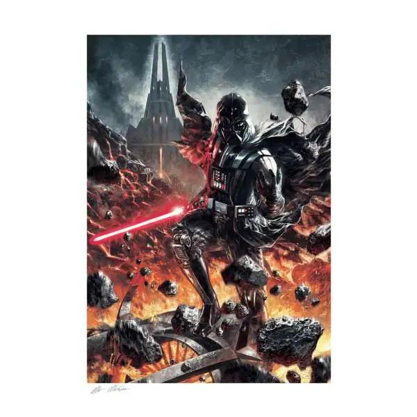Star Wars Darth Vader: The Chosen One Fine Art Print