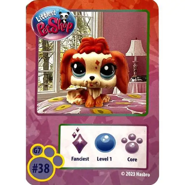 Littlest Pet Shop 2024 Brown Lhasa Apso Dog Core #38 [Fanciest & Level 1]