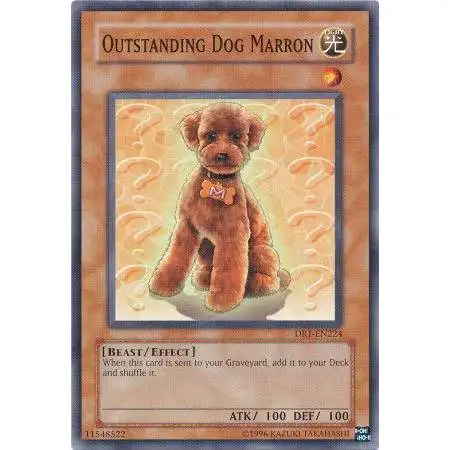 YuGiOh Dark Revelation 1 Common Outstanding Dog Marron DR1-EN224