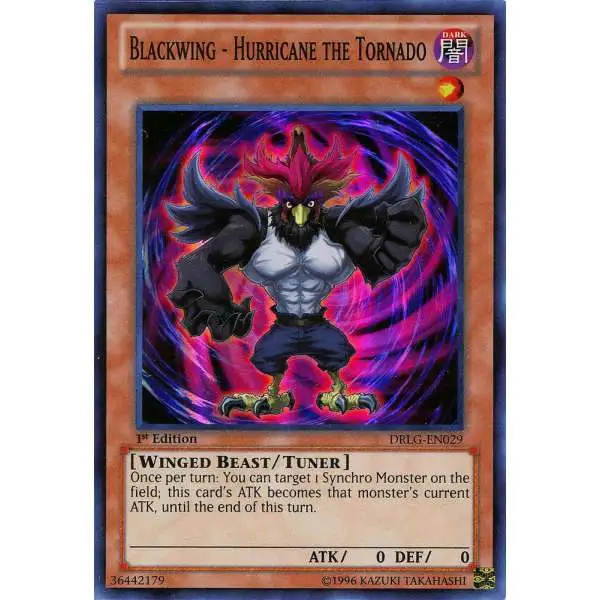YuGiOh YuGiOh 5Ds Duelist Pack Crow Single Card Common Blackwing ...