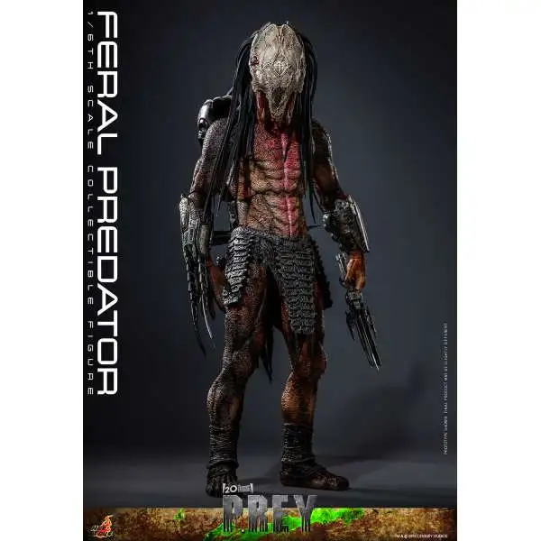 Prey Movie Masterpiece Feral Predator 1/6 Collectible 1/6 Scale Figure