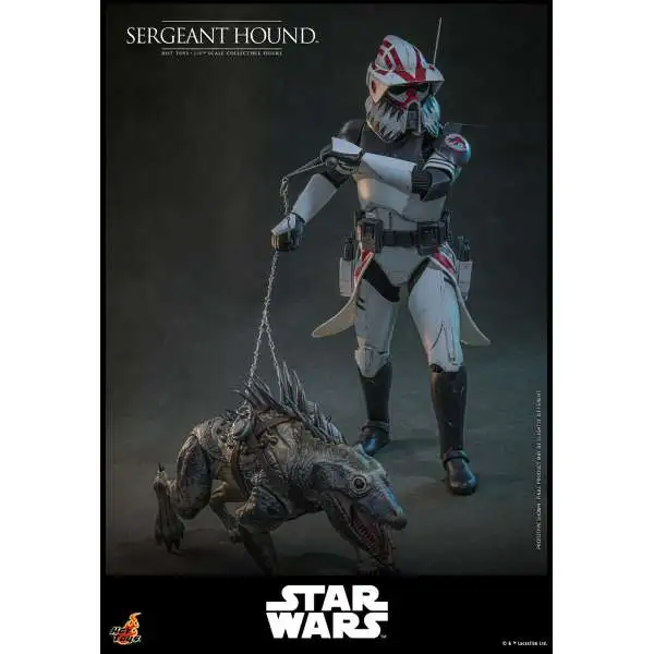Star Wars Clone Wars Sergeant Hound Collectible 1/6 Scale Figure (Pre-Order ships February 2027)