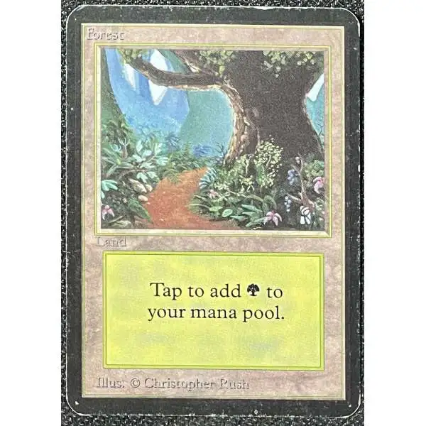 MtG Alpha Forest Basic Land [Heavily Played]