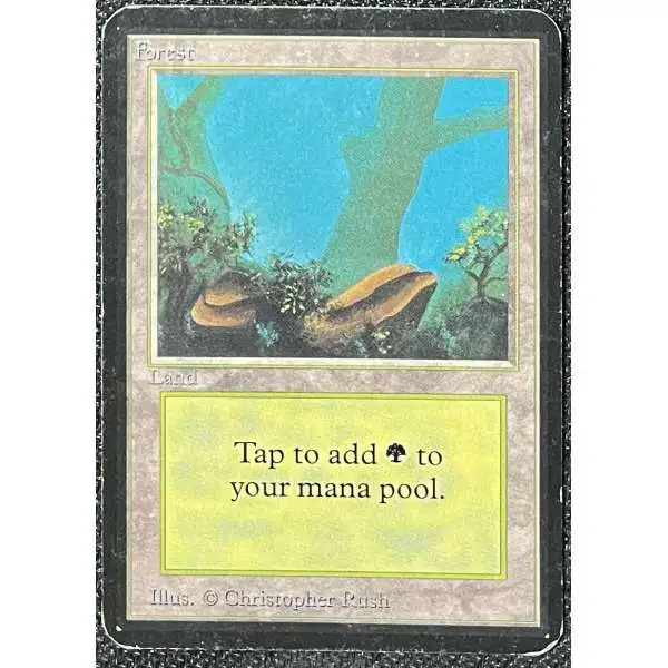 MtG Alpha Forest Basic Land [Heavily Played]
