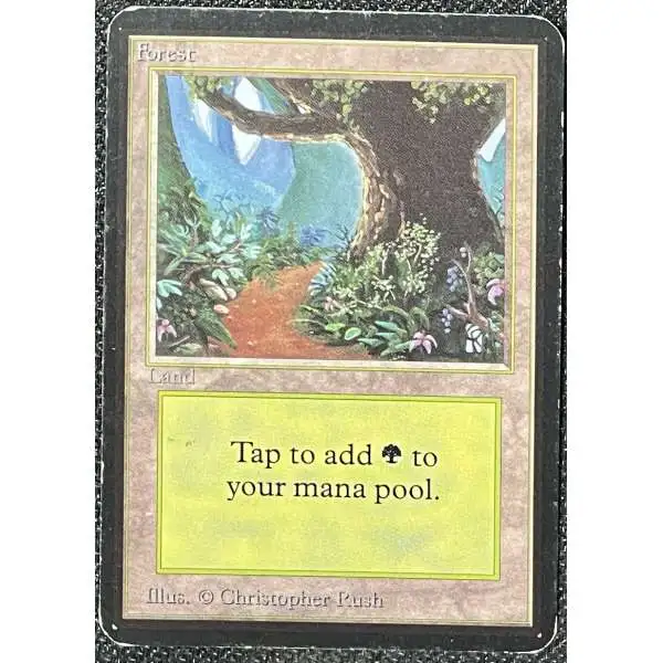 MtG Alpha Forest Basic Land [Heavily Played]