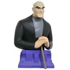 DC Batman Beyond Bruce Wayne 5-Inch Bust