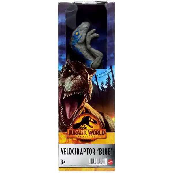 Jurassic World Dominion Velociraptor "Blue" Action Figure [12", 2022]