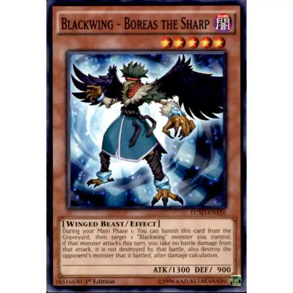 Blackwing Brisote the Tailwind STOR-EN008 Common Yu-Gi-Oh Card 1st Edition New 