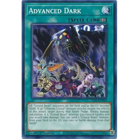 YuGiOh Trading Card Game Legendary Duelists: Season 1 Common Advanced Dark LDS1-EN109