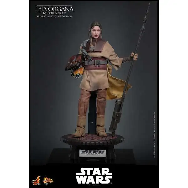 Star Wars Return of the Jedi Movie Masterpiece Princess Leia Organa Collectible Figure [Boushh Disguise] (Pre-Order ships May 2027)