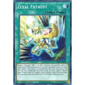 yugioh zexal god cards EXODIA and 200 Card Lot with Rares. : Toys & Games Yugioh TCG 25th Anniversary Stainless